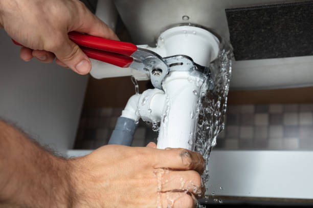 Best Local water damage restoration  in Houghton, NY