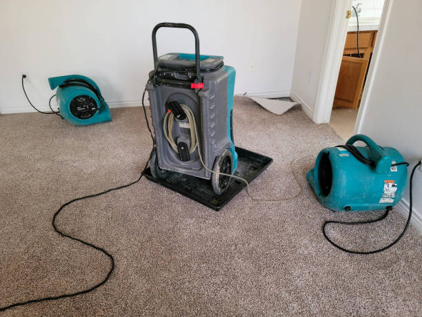 Best Water damage contractors near me  in Houghton, NY
