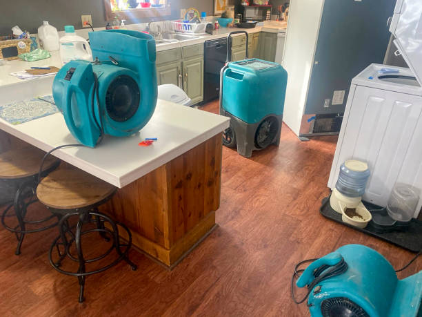 Best Professional water damage repair  in Houghton, NY
