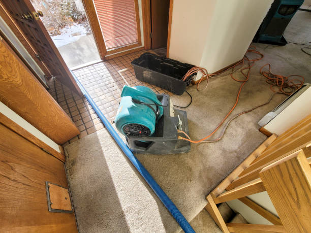 Best Water damage restoration near me  in Houghton, NY