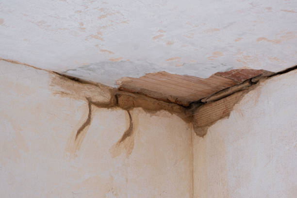 Best 24/7 water damage repair  in Houghton, NY