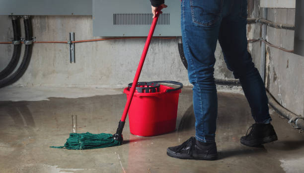 Best Residential water damage restoration  in Houghton, NY