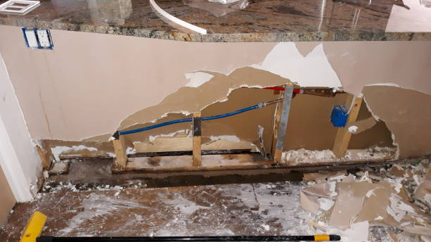 Best Carpet water damage restoration  in Houghton, NY