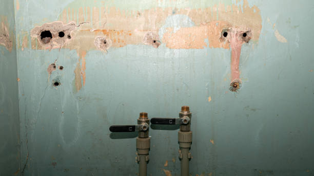 Best Mold removal after water damage  in Houghton, NY