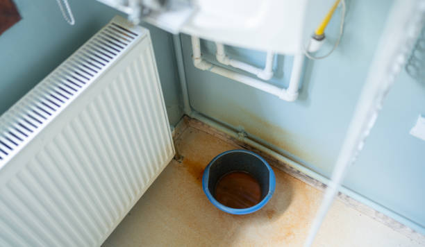 Best Flood damage cleanup  in Houghton, NY
