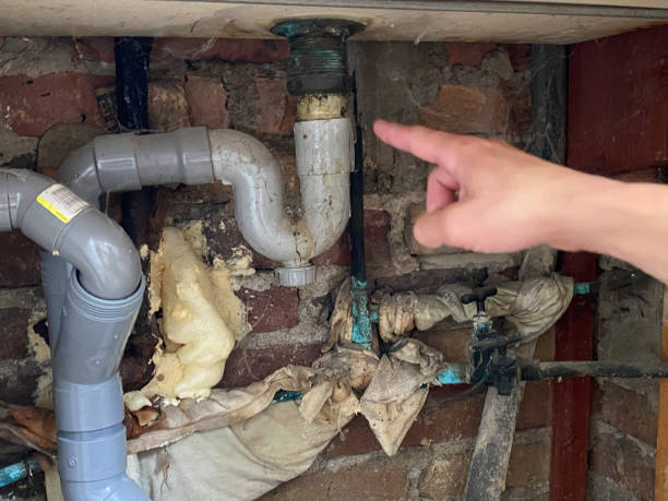 Best Water damage restoration mold remediation  in Houghton, NY