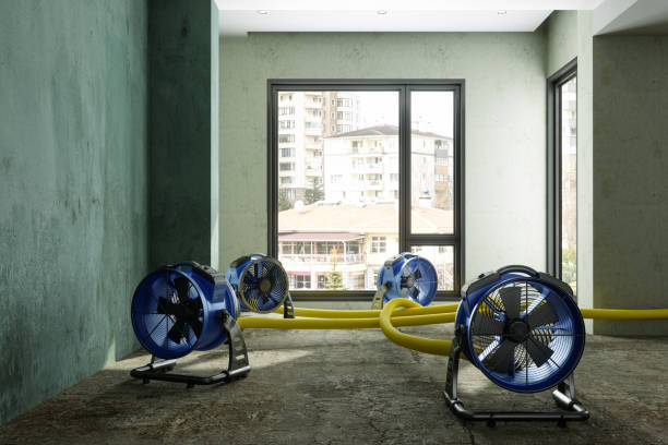  Houghton, NY Water damage restoration Pros