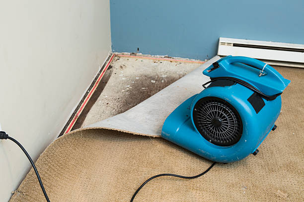 Water damage restoration mold remediation in Houghton, NY